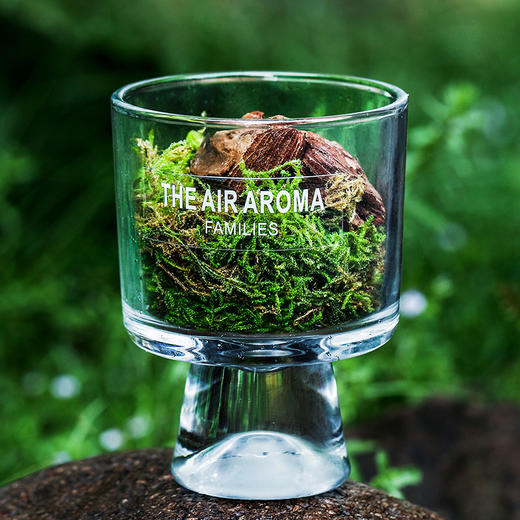松木青苔扩香杯 森系无火香薰扩香摆件家用持久清香香薰伴手礼 商品图1