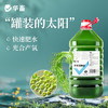 华畜小球藻种5L 快速肥水光合产氧 补充有益藻 商品缩略图0