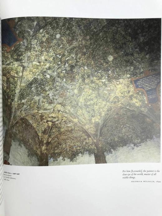 达芬奇会画全集，1452-1519（卷1） 约200幅彩色插图 精装8开 商品图8
