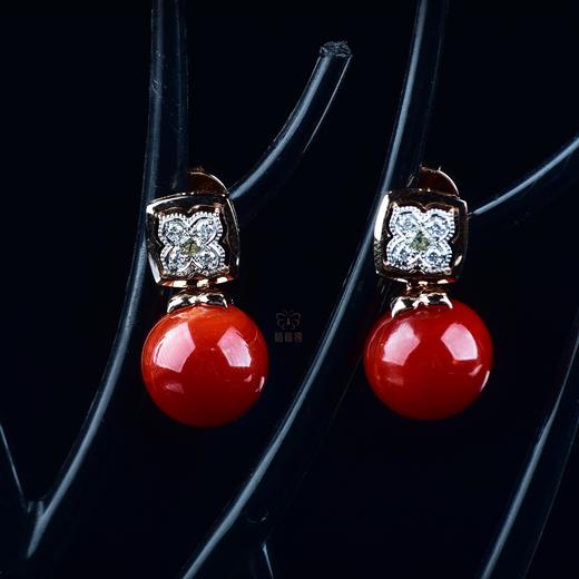 【鸿运】阿卡珊瑚耳钉-SH12406089 商品图1
