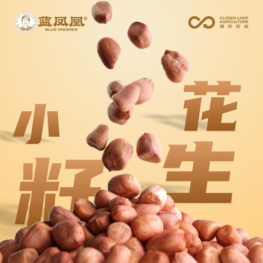 麻阳小籽花生  营养健康 味道醇厚 生花生  5斤装 商品图3