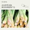 Aroma Promise 柠檬草精油10ml 商品缩略图4