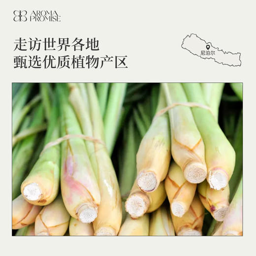 Aroma Promise 柠檬草精油10ml 商品图4