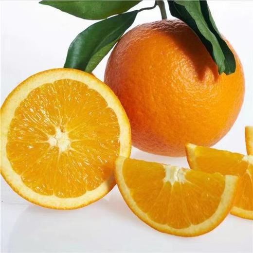 湖北秭归脐橙新鲜爆甜9斤（含包装）/箱（大果） 商品图0