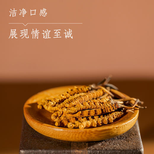 那曲精选虫草（4000条） 商品图2
