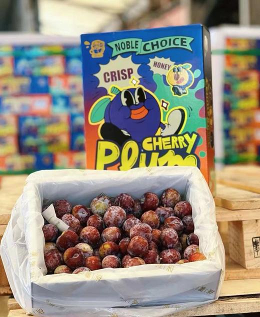 羌云蜜李（4斤装） 商品图0