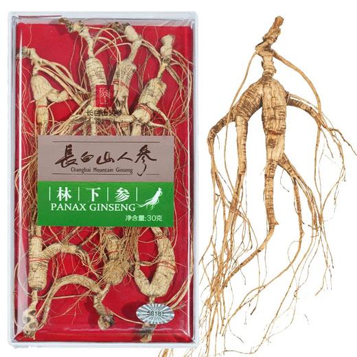 林下参  30g/盒 商品图4