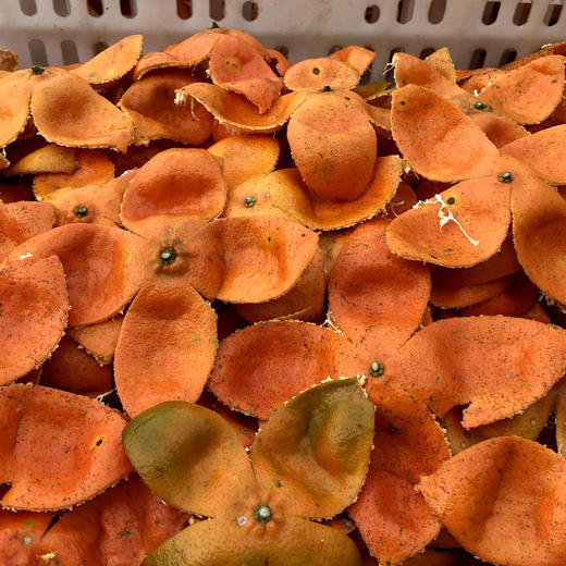 【老树大红袍一年川陈皮】天然原生态生长 正宗川陈皮树种 ！ 商品图3