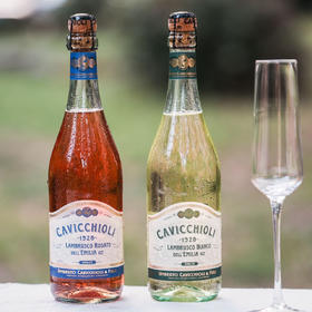 【超值2瓶装】】意大利之花-意大利原装进口卡维留里蓝沐斯起泡酒 750ml*2瓶