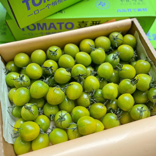 【绿千禧】青衣 青番茄 绿番茄，千禧，入口是甜的，后味的番茄香特别足，越嚼越浓郁，强烈推荐！ 商品图1