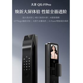 LR【德施曼Q5Fpro人脸识别锁大屏指纹锁家用密码锁】DSM
