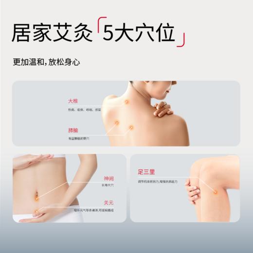 元气地带正宗女士【蕲艾柱】艾草艾绒艾灸柱 商品图2