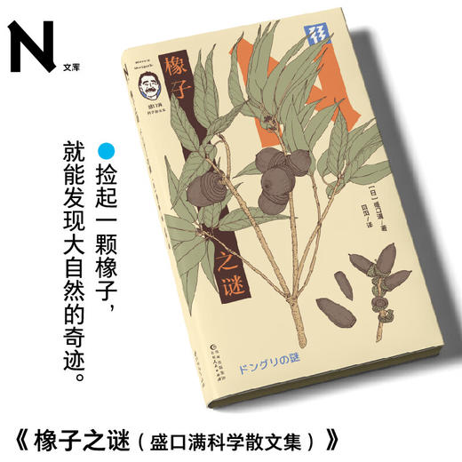 【未读】轻读N文库 橡子之谜（盛口满科学散文集）日本“博物君”盛口满科普佳作，自然观察笔记与手帐范本！轻读文库第三季 商品图0