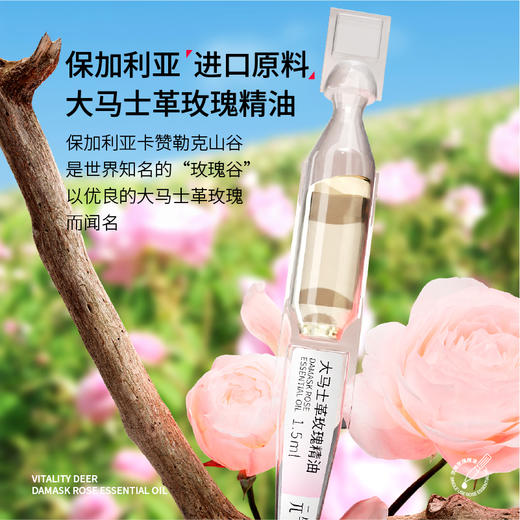 元气地带 大马士革玫瑰精油热敷【玫瑰贴】 商品图3