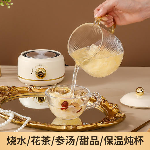 【迷你养生炖杯】小型加热花茶热牛奶养生护 炖煮茶器玻璃养生壶礼盒装 商品图1