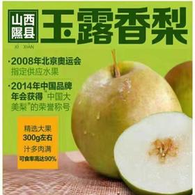 [困妈专属]2025头茬核心产区海拔1200+高原【中国梨王-山西隰县玉露香梨】 奥运会指定水果 香甜清脆 倾心之选