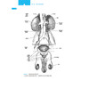 史密斯泌尿外科学 第19版 主译田龙 刘晓强 泌尿生殖系统疾病症状学 泌尿生殖系统特异性感染 尿石症 人民卫生出版社9787117360616 商品缩略图4