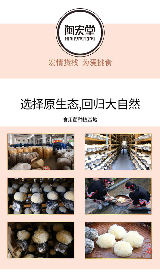 闽宏堂 桂圆八珍汤 人工甄选 真材实料 商品图10