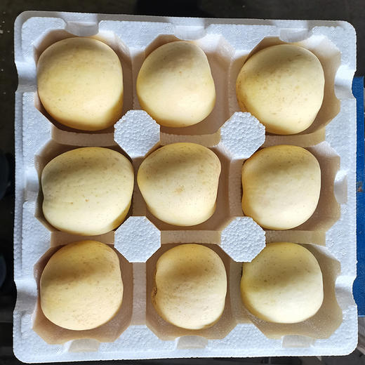 【新鲜上架，山东烟台黄金奶油富士奶油苹果，口感细腻，冰糖心爆汁，甜而不腻】新鲜水果山东烟台黄金奶油富士 奶油苹果当季冰糖心爆汁水果-QQ 商品图1