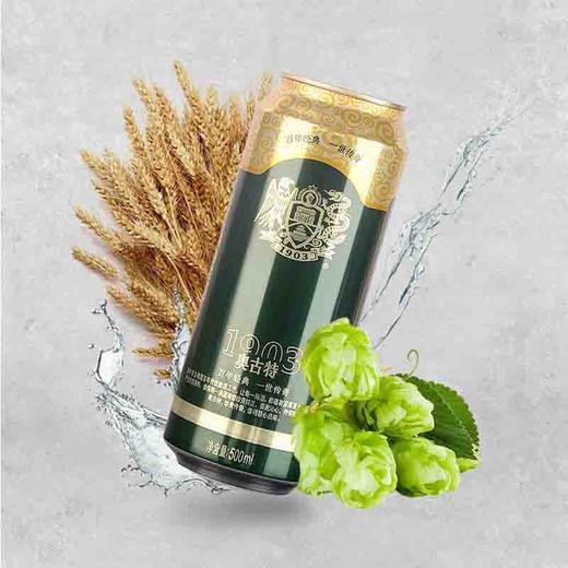 青岛啤酒 奥古特12度500ml×12罐啤 商品图2