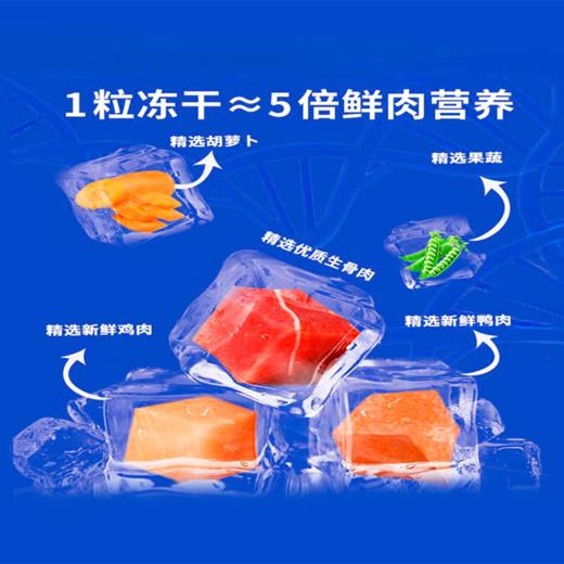 豆柴 冻干系列 全价猫粮 1.2kg/6kg/包 商品图2