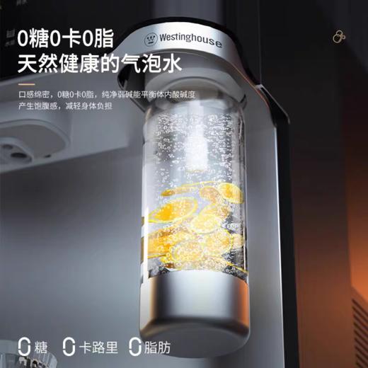 【春上新】10楼 西屋  反渗透净饮机气泡机WFHRO-G5 吊牌价6800元 活动价5499元 商品图2