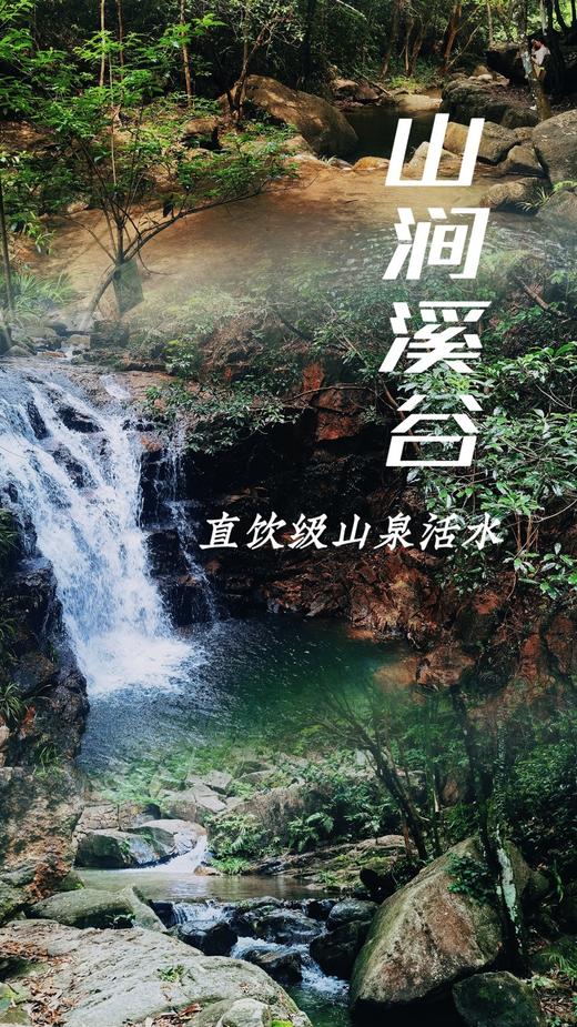 国庆| 芳香王国“溪”游记，私密人少的山涧溪谷 商品图0