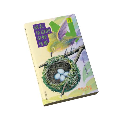 【未读】轻读N文库 就在身边的奇妙鸟巢 日本鸟巢达人铃木守的观察笔记，自然爱好者入门必备。轻读文库第三季 商品图1