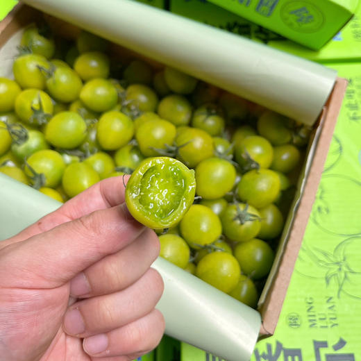 【绿千禧】青衣 青番茄 绿番茄，千禧，入口是甜的，后味的番茄香特别足，越嚼越浓郁，强烈推荐！ 商品图0