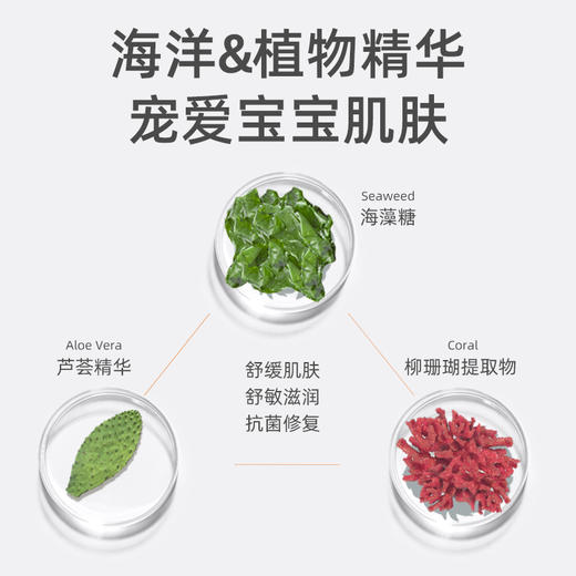 植护 湿巾纸婴儿手口专用湿纸巾80抽×5大包 商品图2