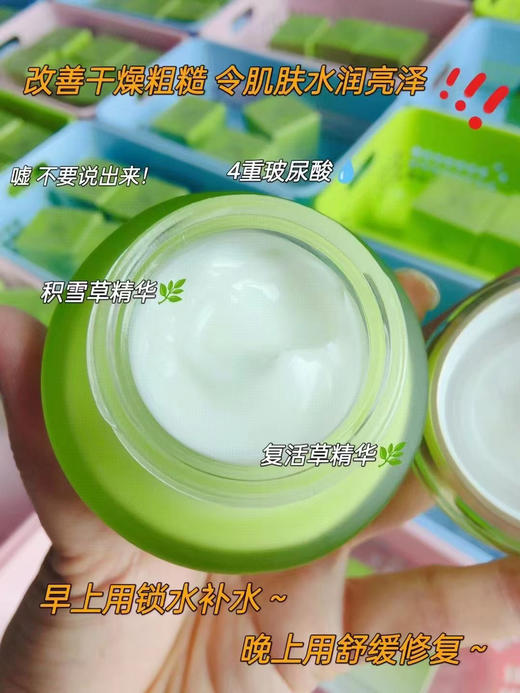 百雀羚水清漾沁肤菁纯霜50g 商品图3