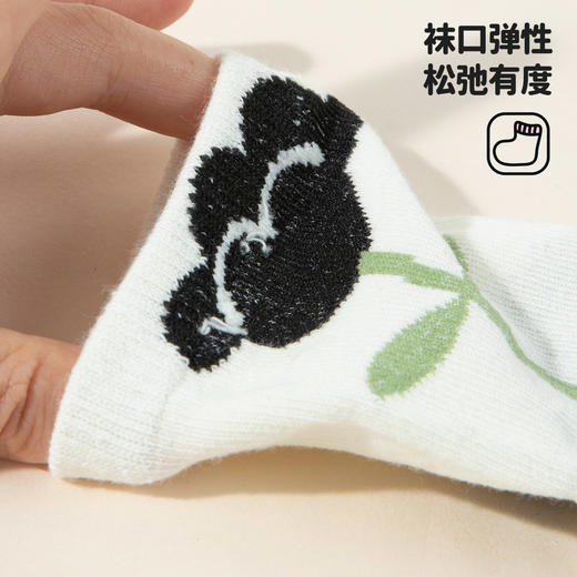 贝贝怡春秋四季款女童儿童袜（5双装） 商品图4