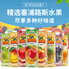 塞浦路斯进口SK SPECIA果汁丨果汁饮料1L 【葡萄丨橙丨菠萝丨苹果丨7种水果混合果汁/桃丨梨丨芒果果汁饮料 】 商品缩略图0