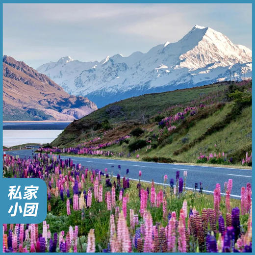 新西兰｜全景“新”世界12天11晚 商品图0