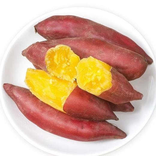 天目山小香薯 商品图4