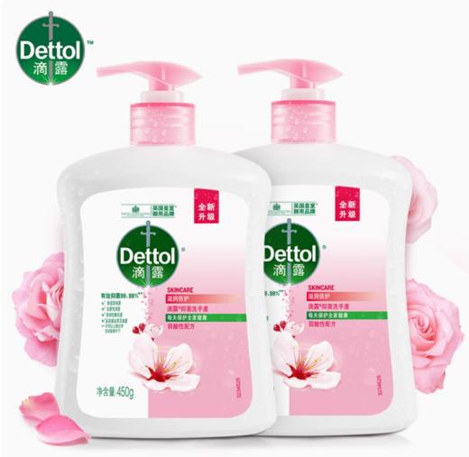 滴露洗手液450g*2瓶家用滋润抑菌杀菌消毒按压儿童正品 商品图1