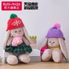 BUDIBASA巴迪宝思ZaikaMi兔+绿色毛衣和红色小鸡心,23cm 商品缩略图4