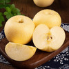【新鲜上架，山东烟台黄金奶油富士奶油苹果，口感细腻，冰糖心爆汁，甜而不腻】新鲜水果山东烟台黄金奶油富士 奶油苹果当季冰糖心爆汁水果-QQ 商品缩略图0