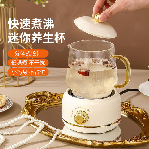 【迷你养生炖杯】小型加热花茶热牛奶养生护 炖煮茶器玻璃养生壶礼盒装 商品图0