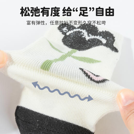 贝贝怡春秋四季款女童儿童袜（5双装） 商品图7