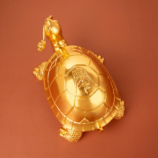 如意金龟 商品图2