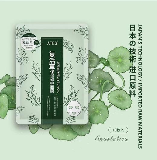 【预售】Cg ATES复活草精华保湿面膜30g*10Z-25010032 商品图0