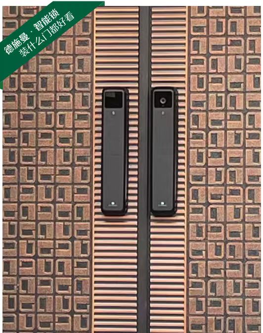 LR【德施曼指纹锁密码锁——专用补差链接】DSM