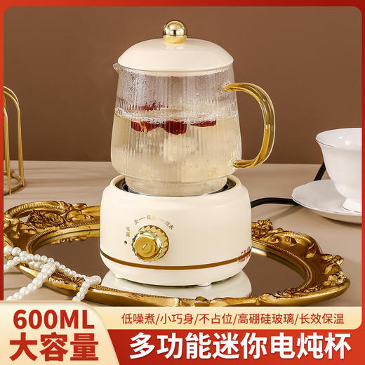 【迷你养生炖杯】小型加热花茶热牛奶养生护 炖煮茶器玻璃养生壶礼盒装 商品图3