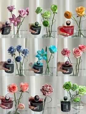 鲜花吸色剂染色剂