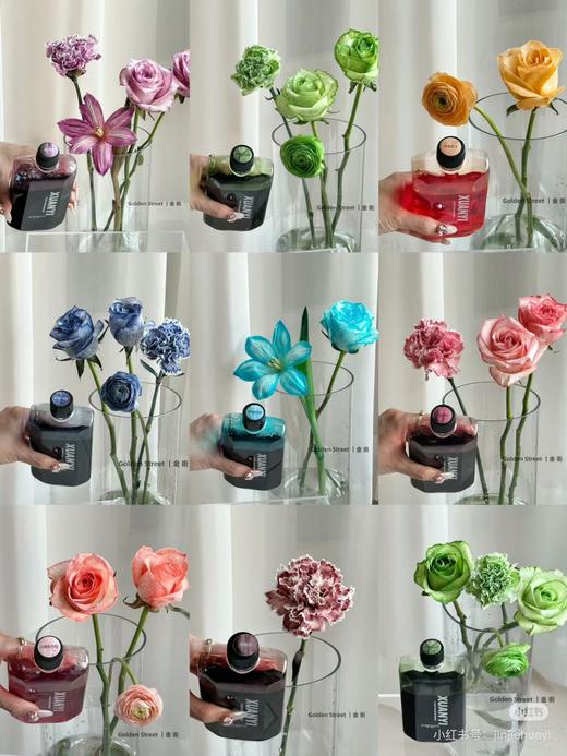 鲜花吸色剂染色剂 商品图0