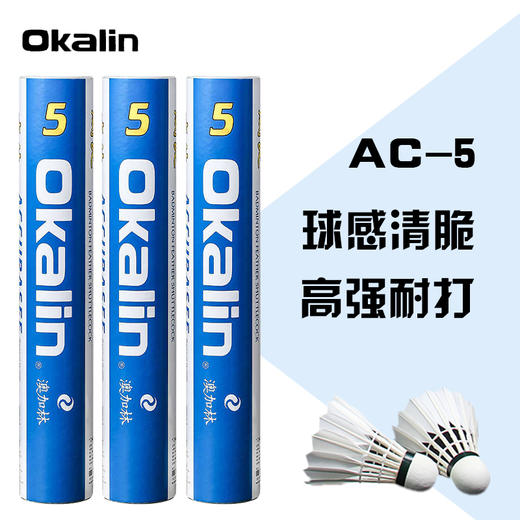威健 羽毛球 澳加林 AC-5 商品图0