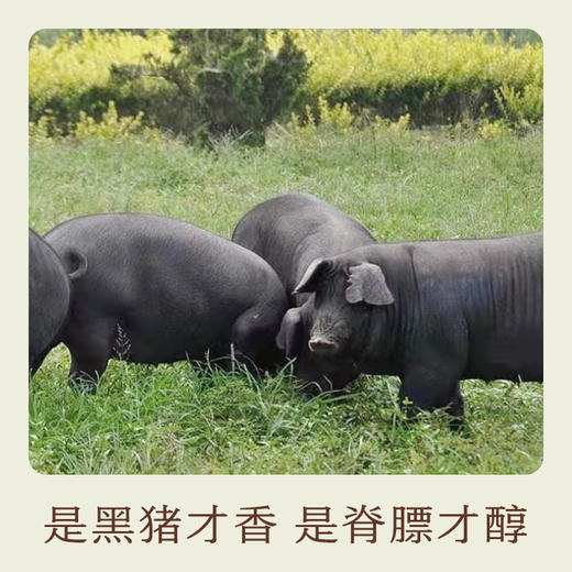 南食召 本真黑猪油 商品图2