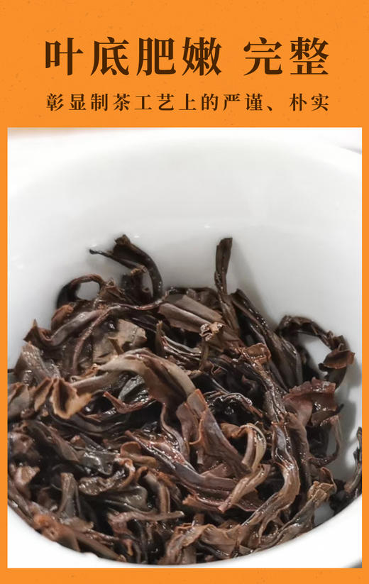 武夷正山小种 12泡/60克 桐木关自然保护区内产品 花香丛韵味甘醇 商品图4