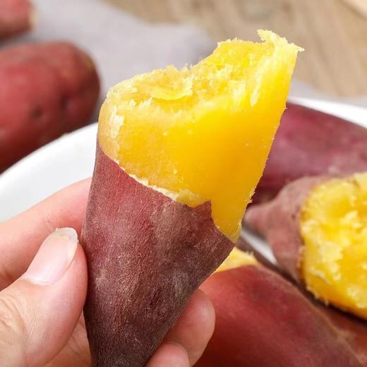 天目山小香薯 商品图2